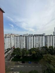 Blk 161 Mei Ling Vista (Queenstown), HDB 4 Rooms #554798811